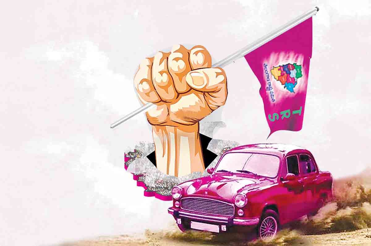 గ్రేటర్‌ గులాబీలోసంస్థాగత సంబురం