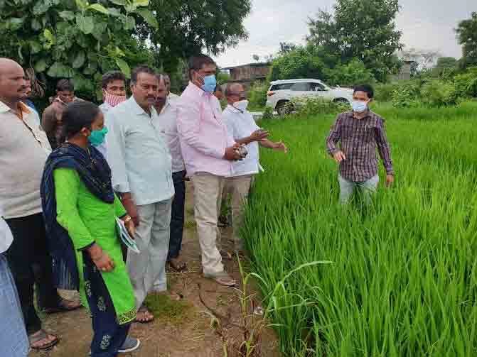 వరి సాగులో మెళకువలు పాటించాలి