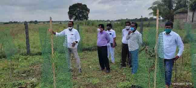 పల్లెప్రగతి పనులను పూర్తి చేయాలి