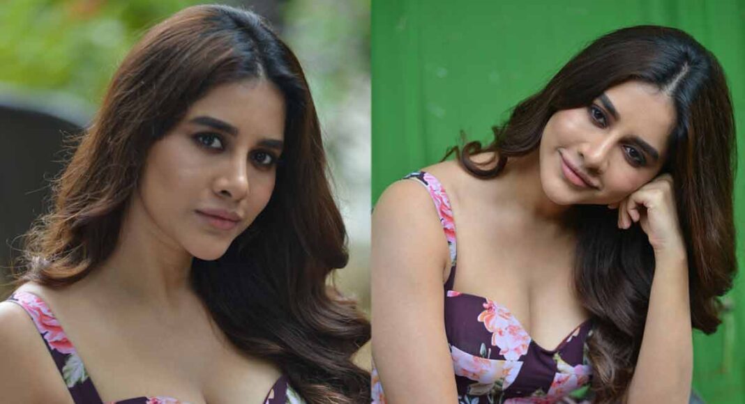 నభా నటేష్ మస్తి ఫొటోస్