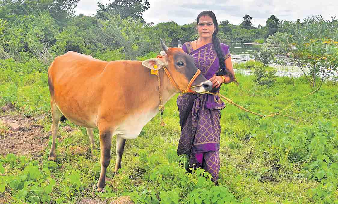 ఒక హిజ్రా ‘పచ్చని’ ప్రపంచం!