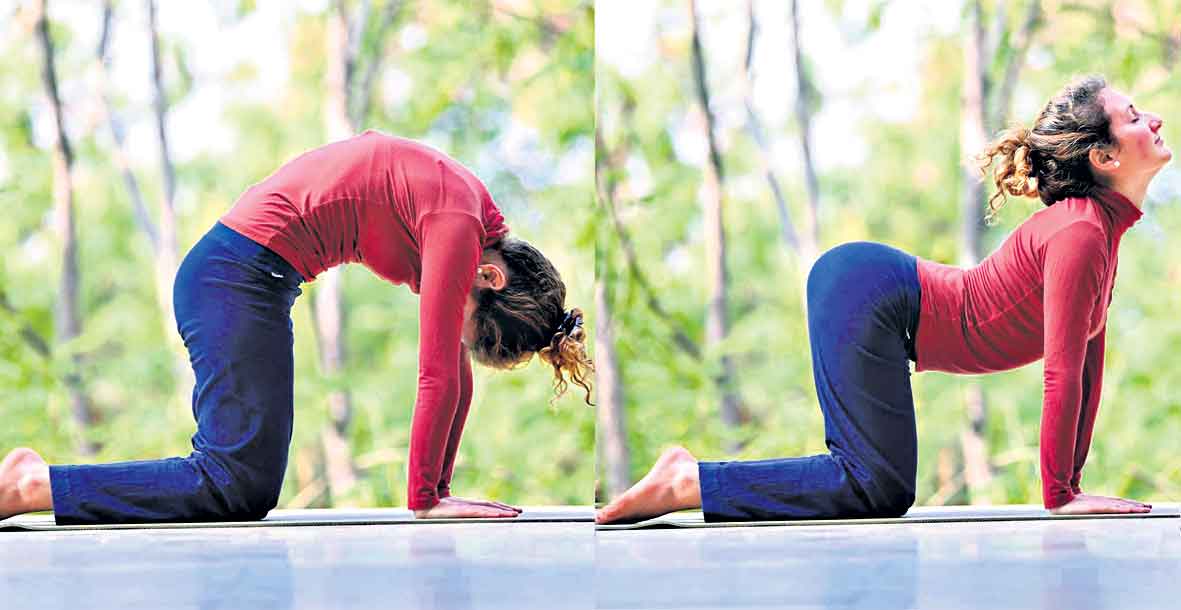 Yoga | మాతృయోగ మార్జరి ఆసనం