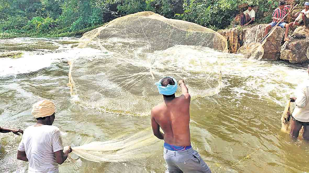 మత్స్య సిరులు