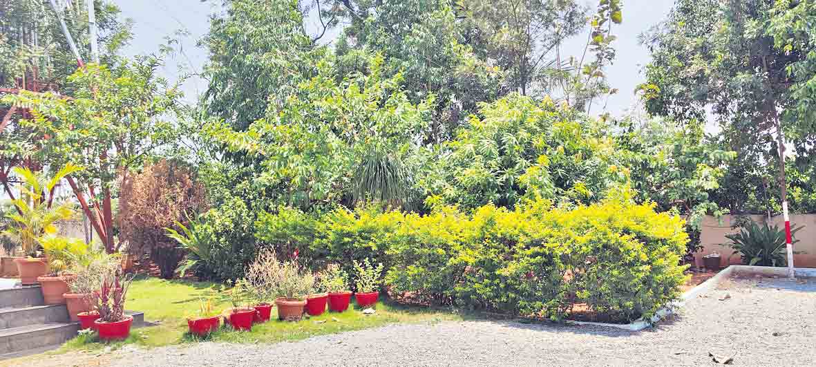 పచ్చందాల స్టేషన్‌