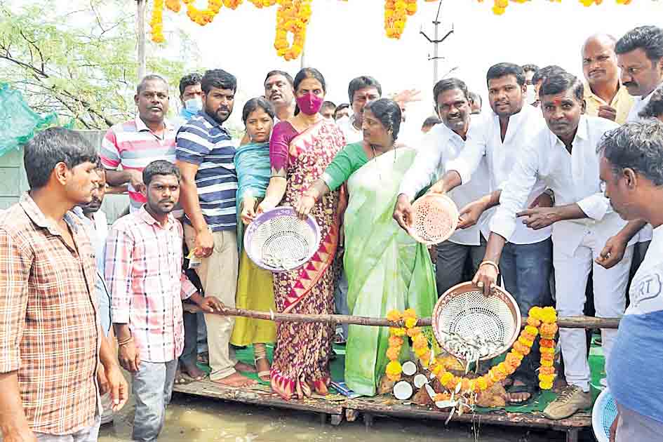 మిషన్‌ కాకతీయతో పెరిగిన మత్స్య సంపద