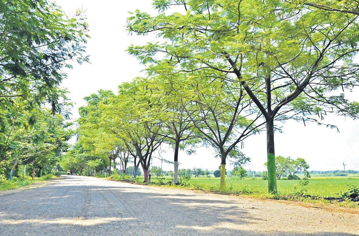 పల్లెలు.. ప్రగతి మల్లెలు