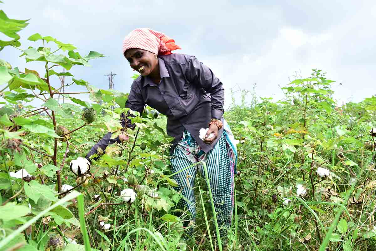 పత్తి కొనుగోళ్లకు సమాయత్తం