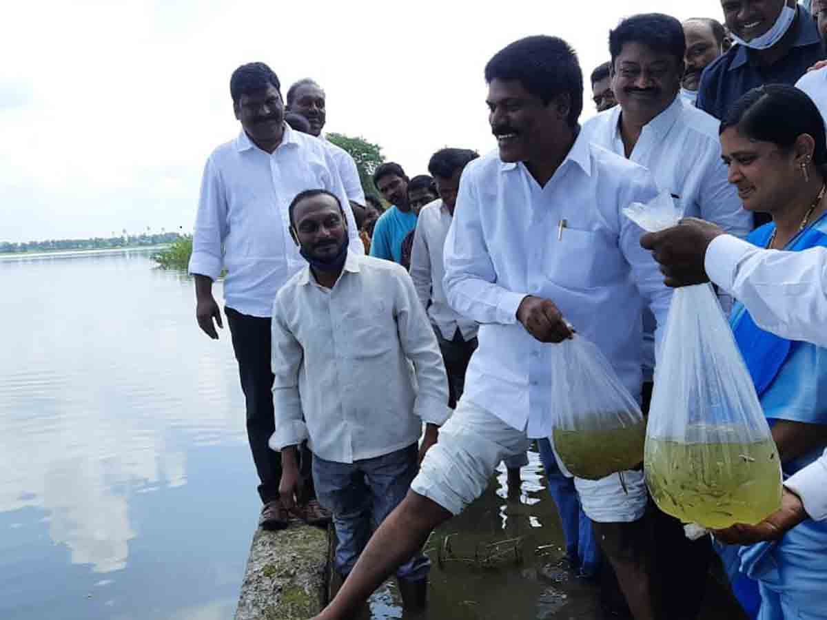 Warangal : మత్స్యకారుల అభివృద్ధే ప్రభుత్వ ధ్యేయం.. ఎమ్మెల్యే పెద్ది సుదర్శన్‌రెడ్డి