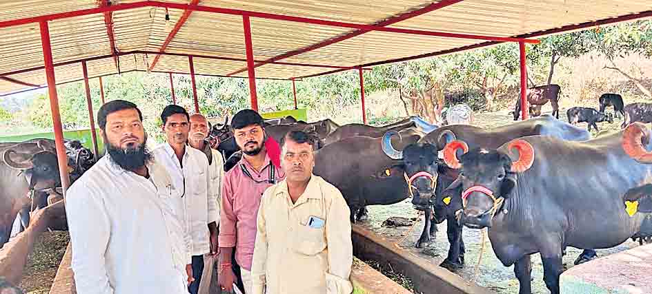 ఊరిలో నేఉపాధి