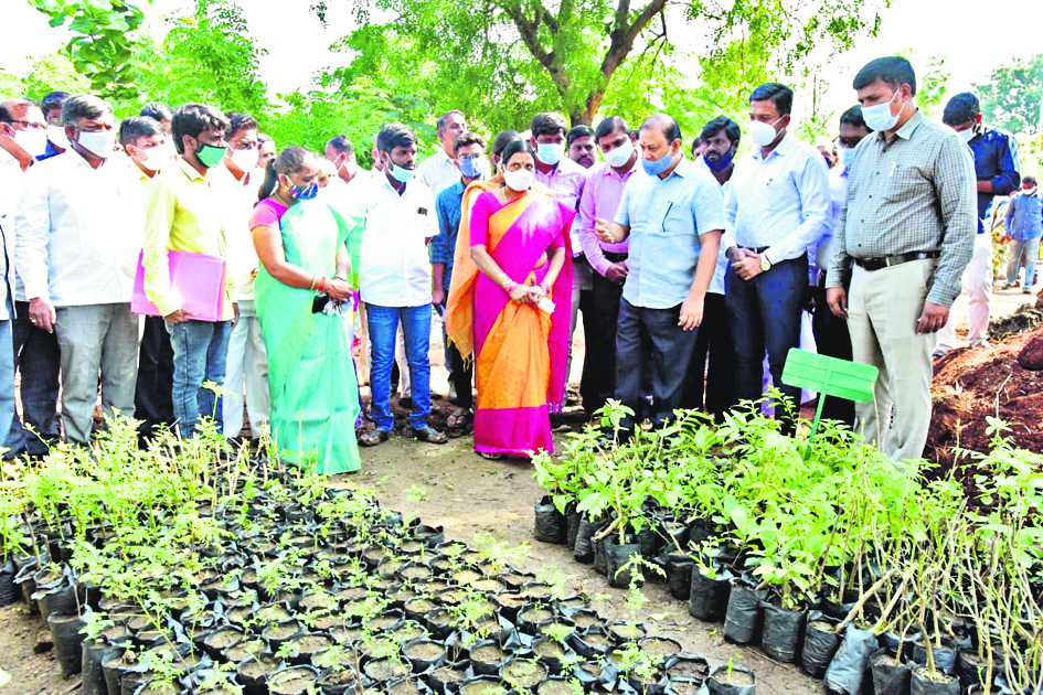 పల్లెల ప్రగతితోనే దేశాభివృద్ధి