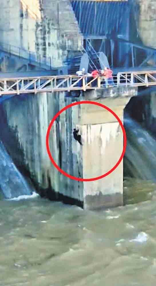 కొంప ముంచిన సెల్ఫీ సరదా