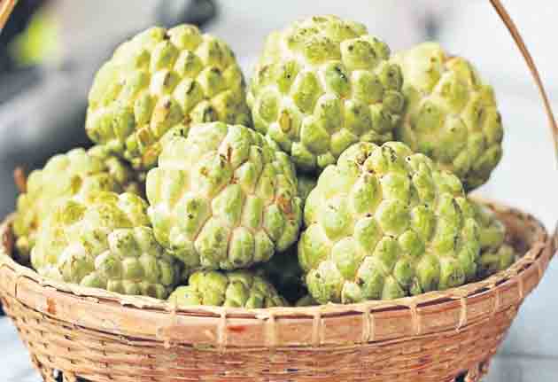 సీతాఫలం.. ఆరోగ్యం పదిలం