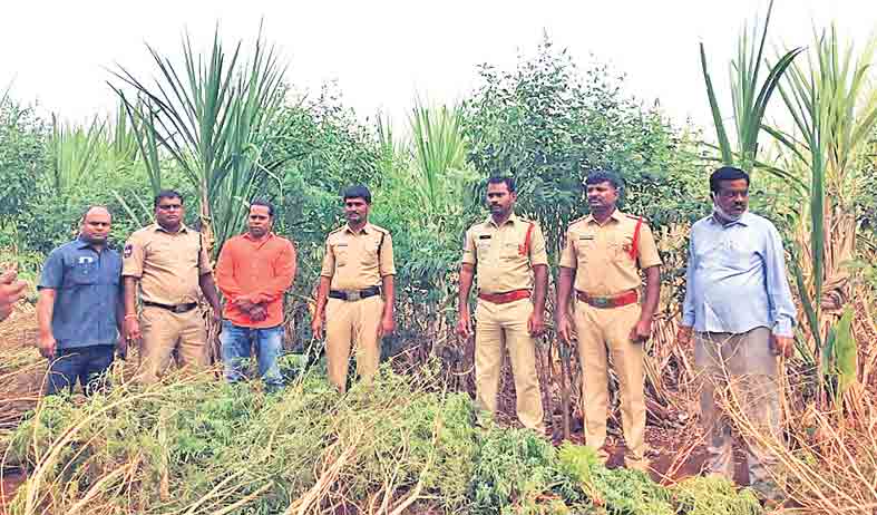 డ్రైవర్లను మార్చి.. ఏమార్చి !