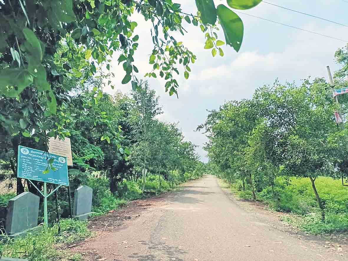 పల్లెలో పచ్చదనం అభివృద్ధిలో ఆదర్శం