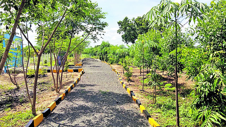 చిట్టిఘనాపూర్‌.. ప్రగతి ఘనం