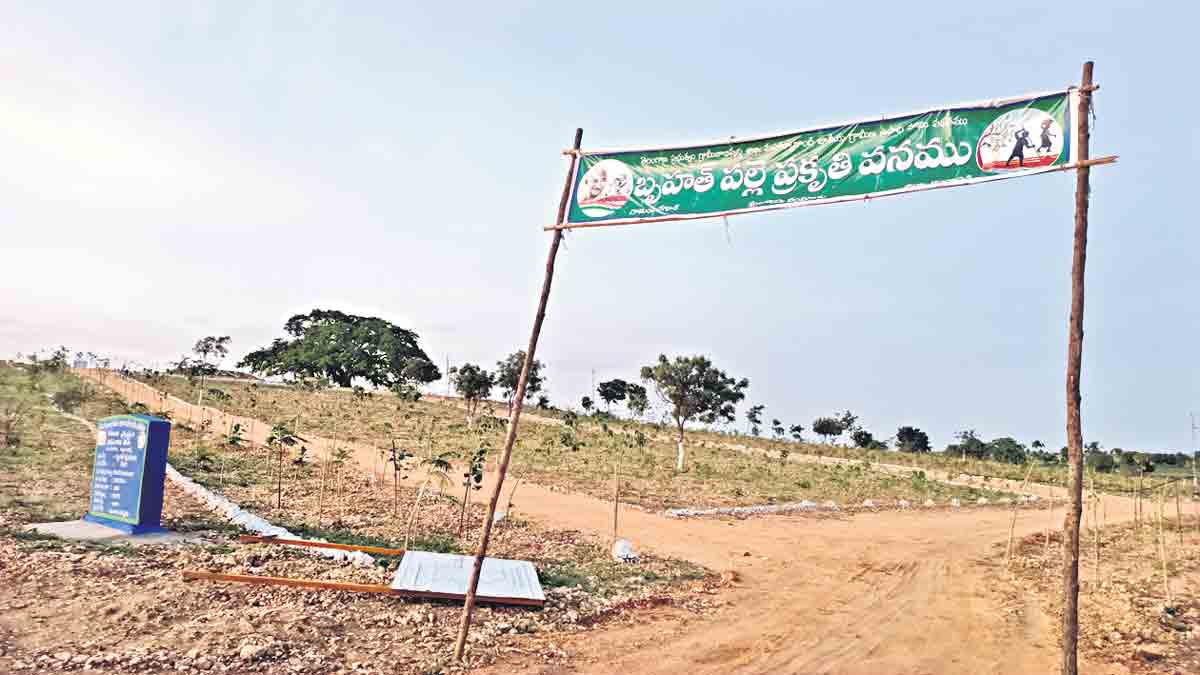 రామేశ్వరం మెరిసింది