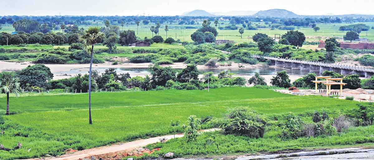సాగులో సమున్నత శిఖరానికి తెలంగాణ
