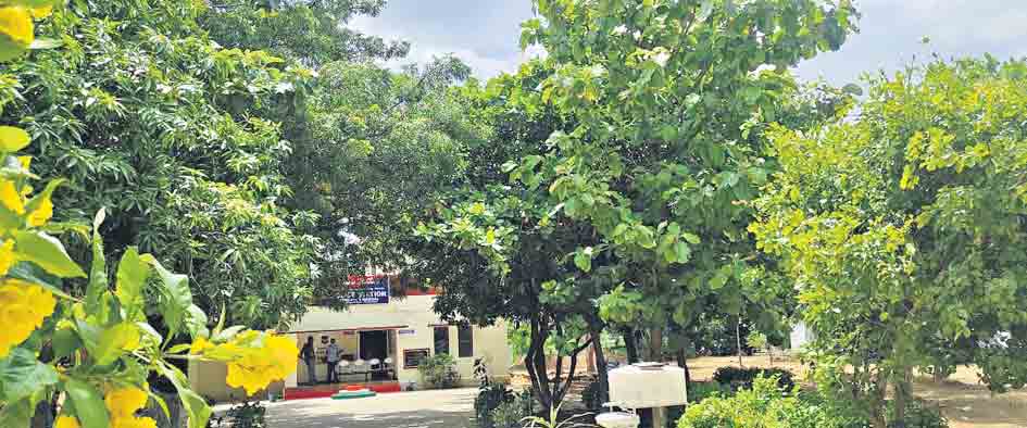 హరిత శోభితం