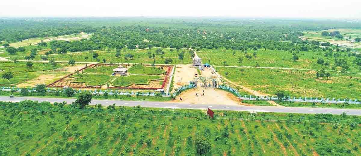 గజ్వేల్‌కు పచ్చలహారం