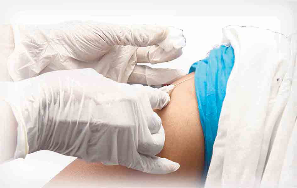 ఫలిస్తున్న ప్రభుత్వ కృషి