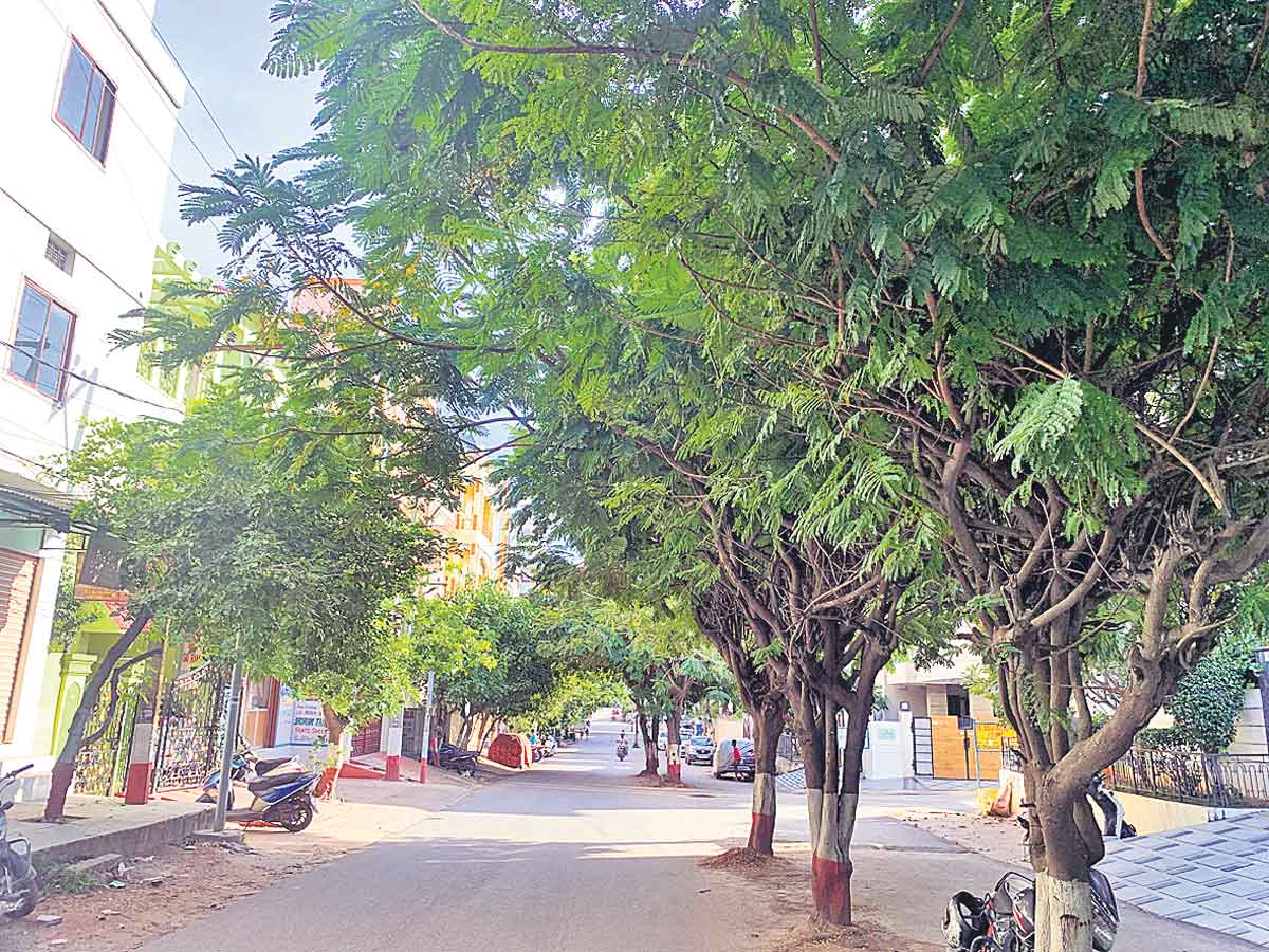 ఐకమత్యంతోపచ్చదనం