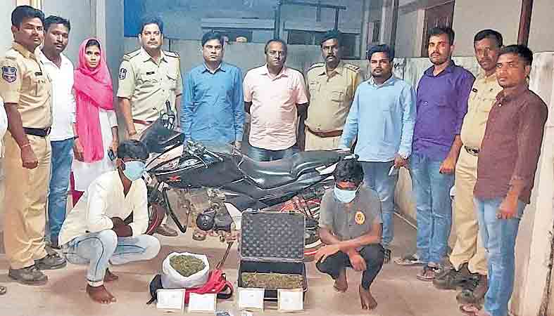 పలుచోట్ల గంజాయి పట్టివేత