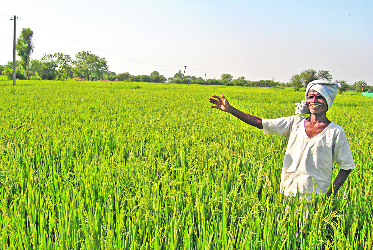 రైతన్నలకు తోడూ నీడగా..