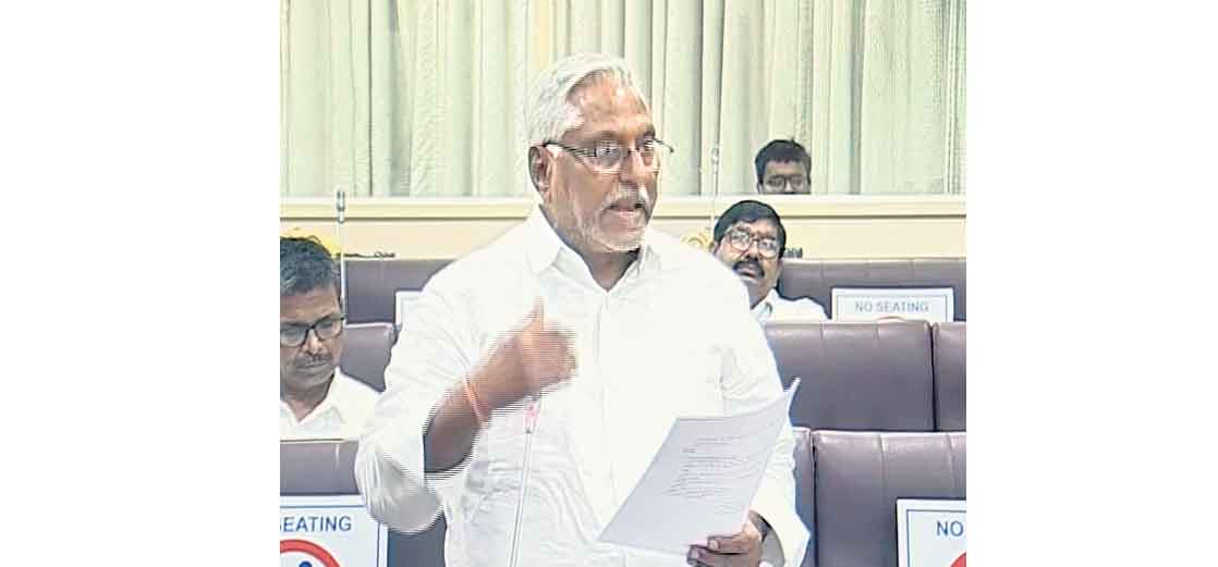 కిటెక్స్‌ను తేవడం గొప్ప విషయం