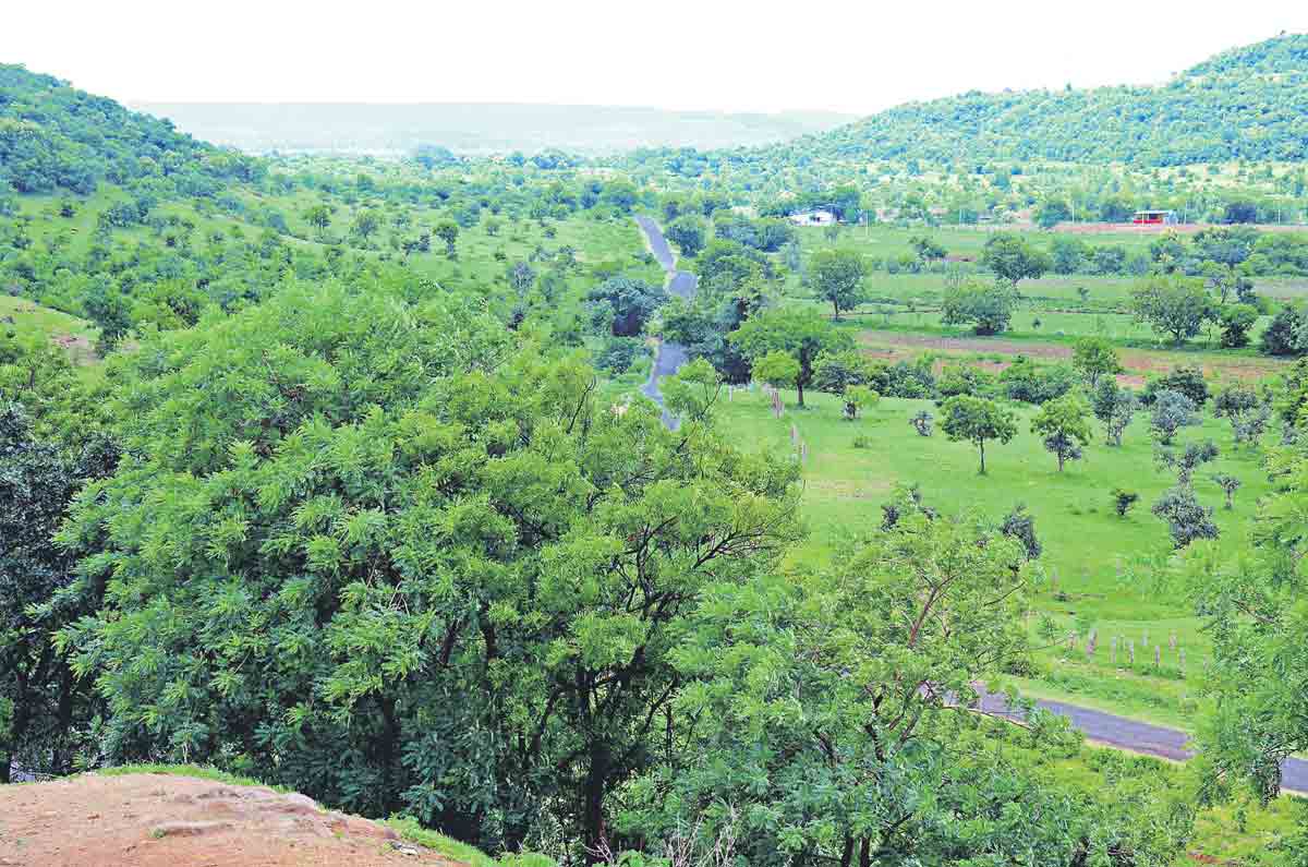 ప్రకృతి కాంతకు పచ్చకోక