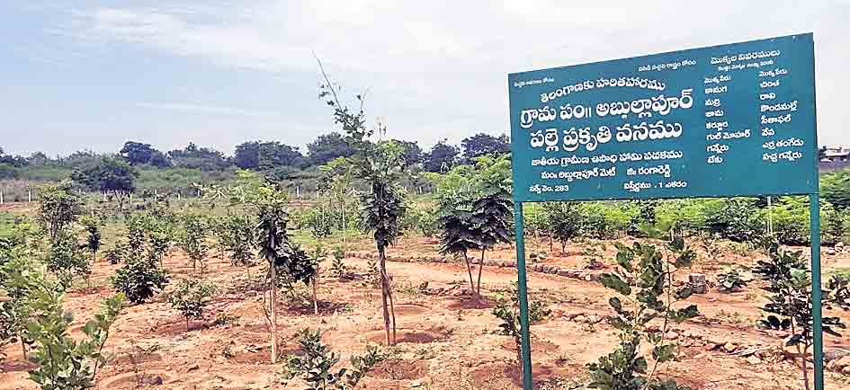 అభివృద్ధిలో ఆదర్శం.. అబ్దుల్లాపూర్‌