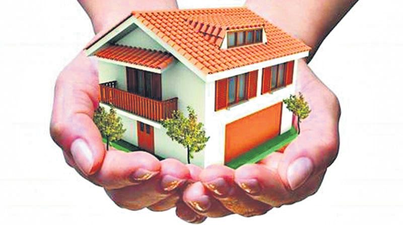 గూడుకు చేదోడు