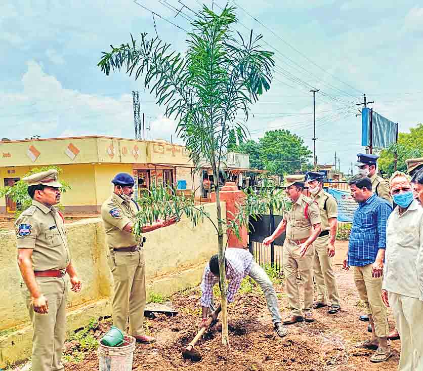 హరిత తోవలు