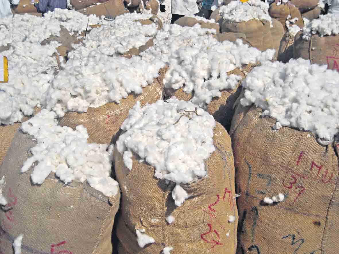 తెల్ల బంగారం పత్తికి రికార్డు స్థాయి ధర