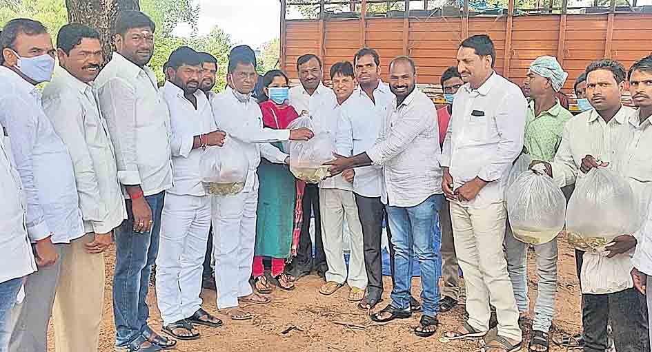 నీలి విప్లవం