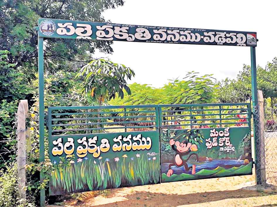 బృందావనం.. ఆహ్లాదం పంచుతున్న వడ్డ్డెపల్లి పల్లె ప్రకృతి వనం