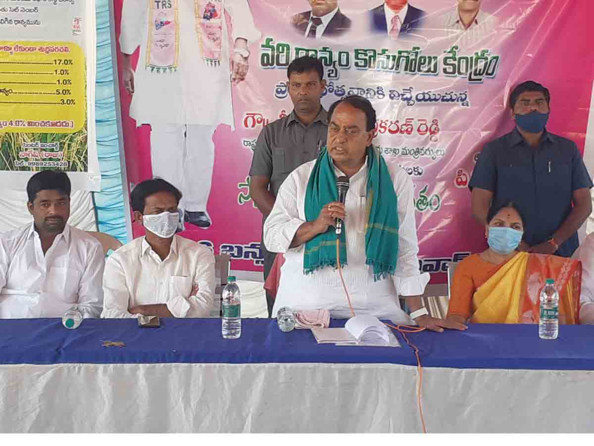 మార్కెట్‌లో డిమాండ్‌ ఉన్న పంటలనే సాగు చేయండి..