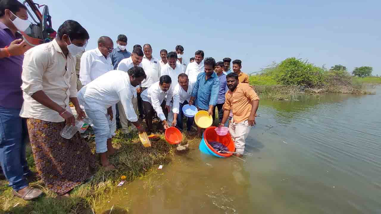 Makthal: మత్స్యకారులకు ప్రభుత్వం చేయూత.. ఎమ్మెల్యే చిట్టెం రామ్మోహన్‌రెడ్డి