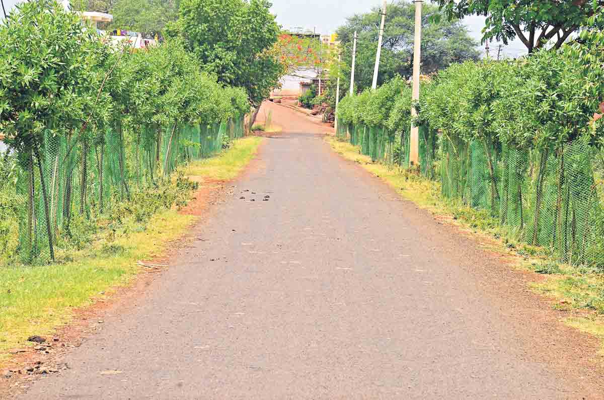 పల్లె పల్లెకు పచ్చతోరణం