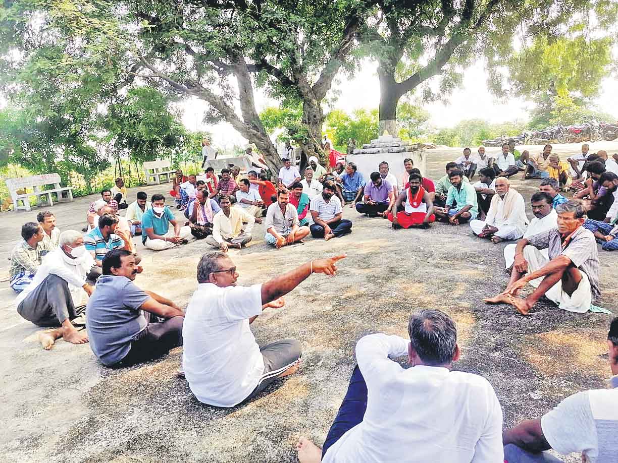 నూనె గింజలనే సాగుచేస్తాం