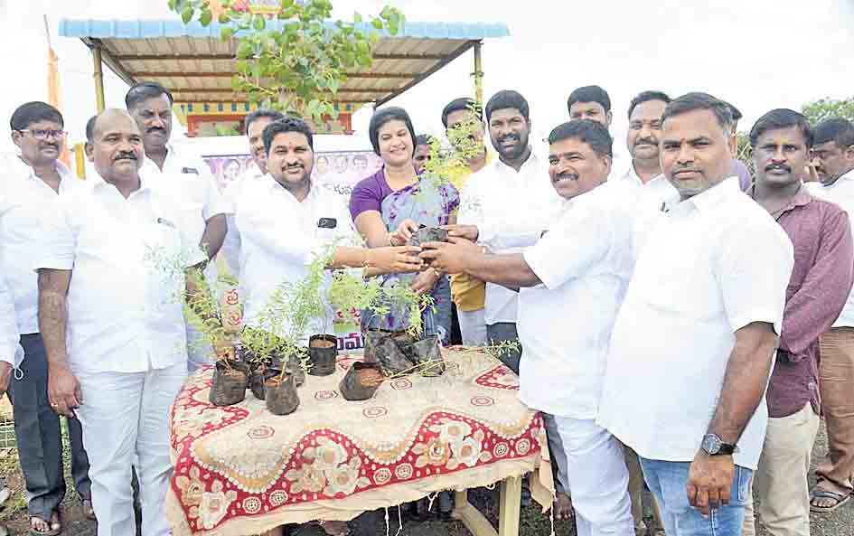 ప్రతి ఒక్కరూ మొక్కలు నాటాలి