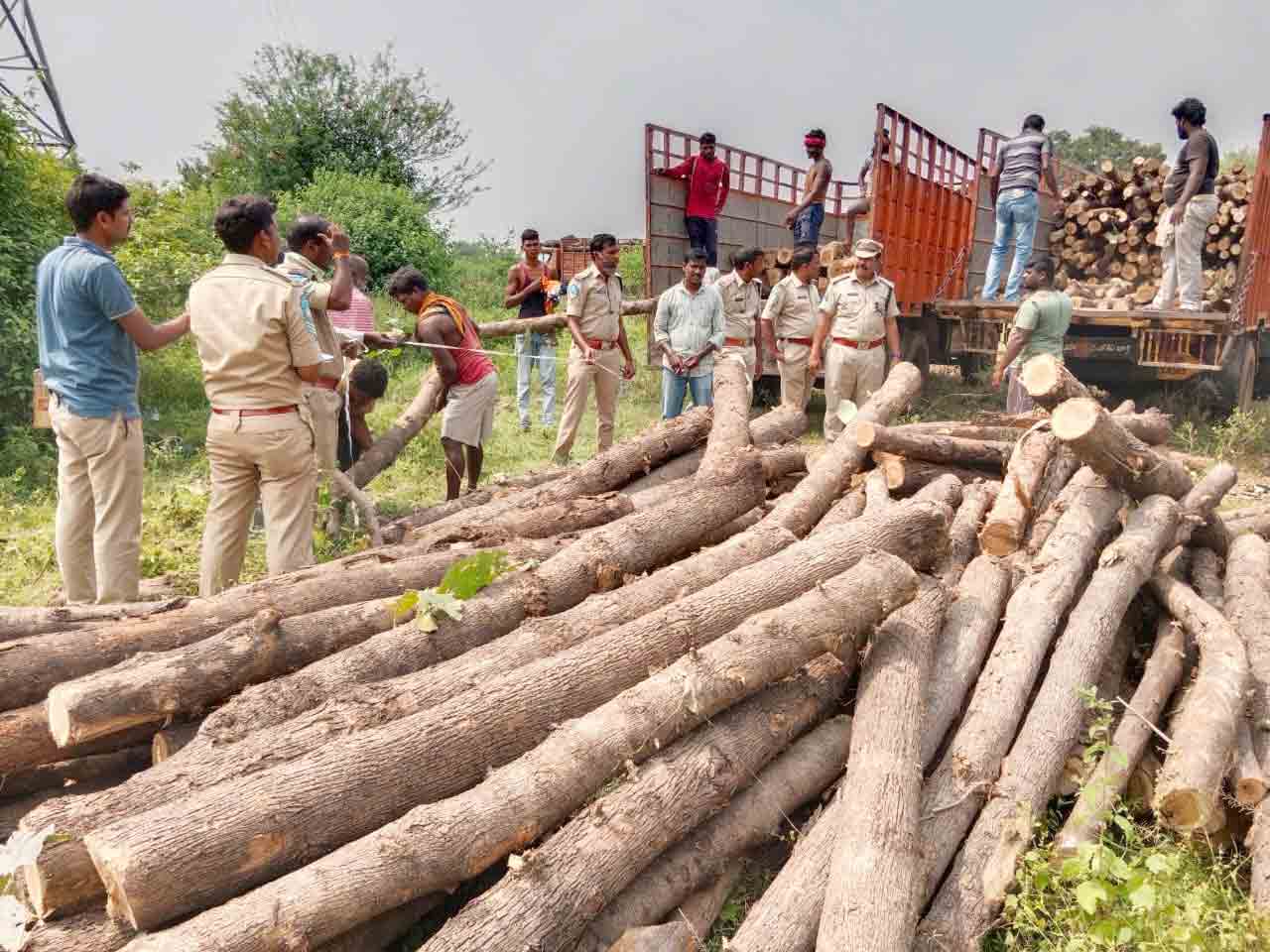 రూ.30 లక్షల విలువైన టేకుదుంగలు స్వాధీనం..