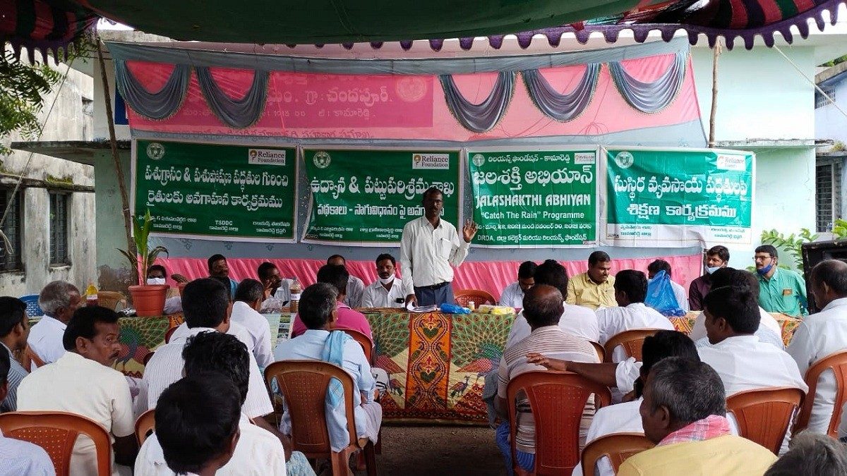 రైతులు ఆయిల్‌ ఫామ్‌, పశుసంపదపై దృష్టి పెట్టాలి