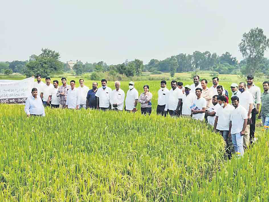 విత్తనోత్పత్తిపై డీలర్లకు అవగాహన