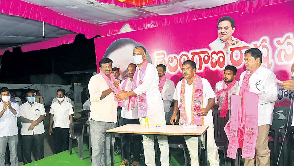 గులాబీ గుబాళింపు