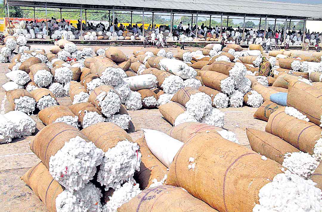 తెల్లబంగారం @ రూ.7,511