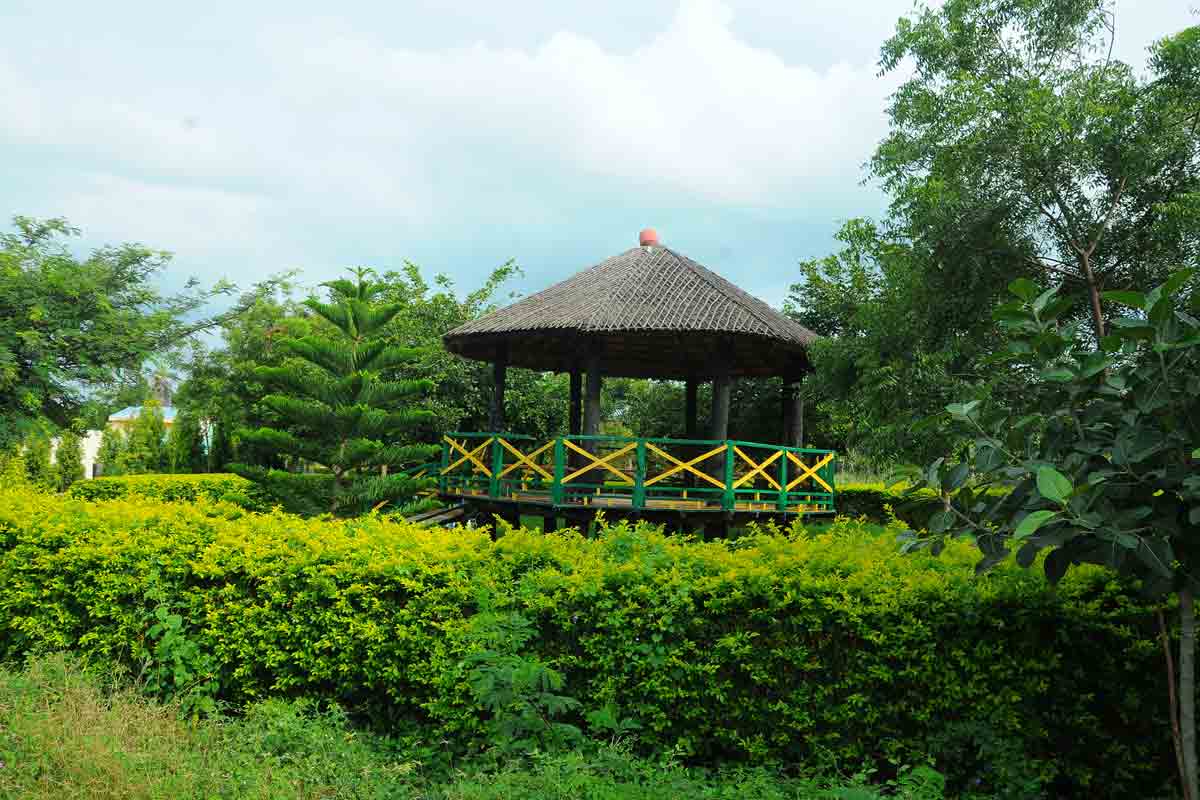 ‘బృహత్‌’ కార్యానికి.. యాదాద్రి ప్లాంటేషన్‌