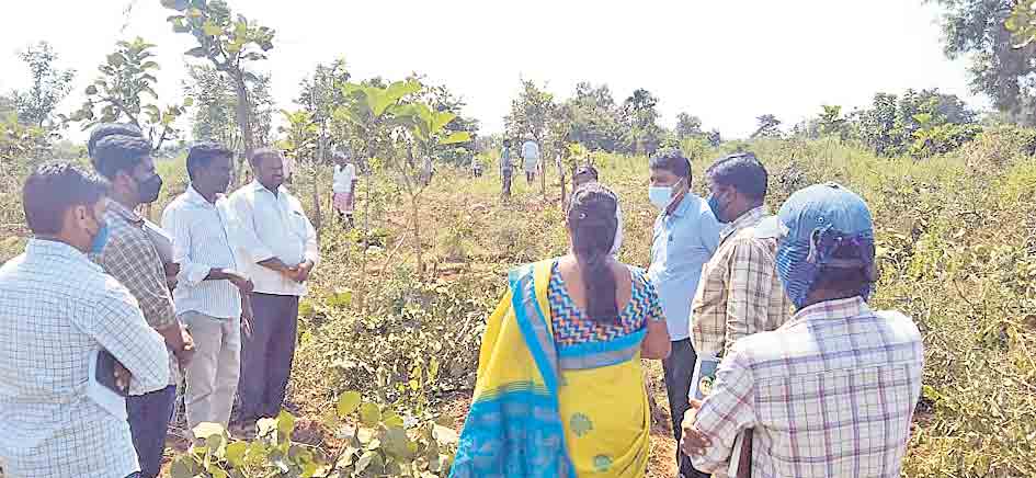 పల్లె ప్రకృతివనాల్లో మొక్కలు నాటలి