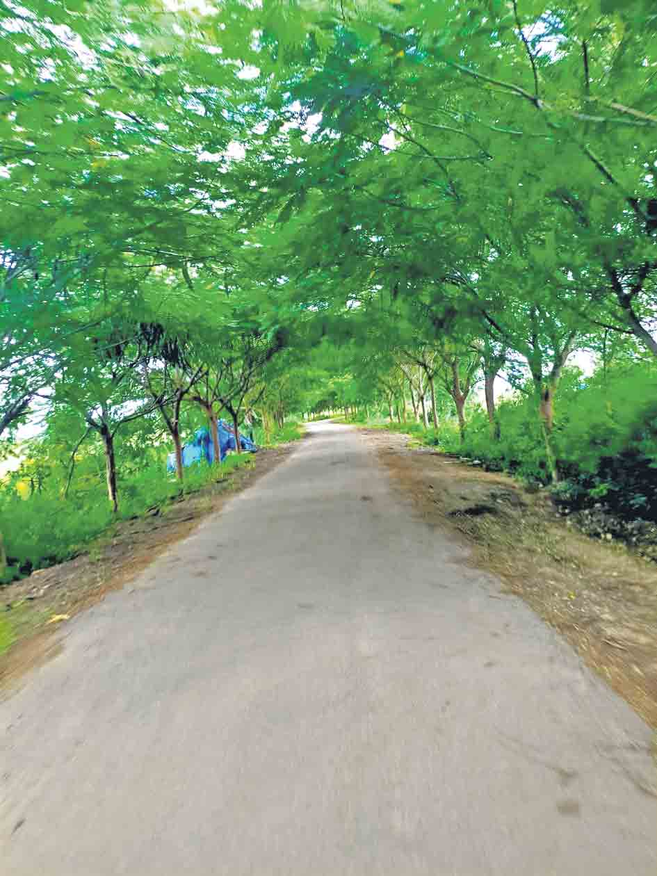 గ్రీన్‌ వారియర్స్‌..