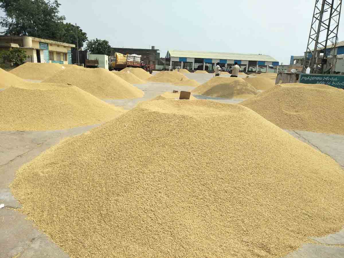 కరువు నేలపై ఎడగారు ఎవుసం