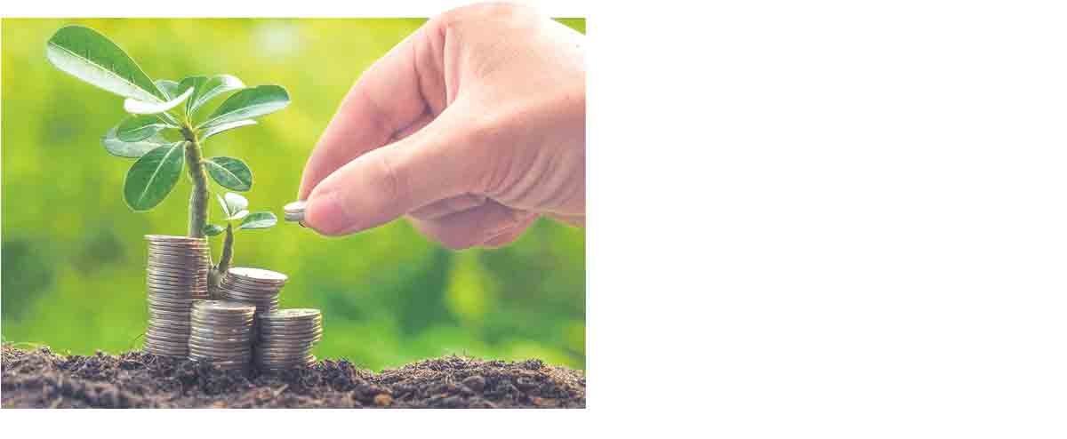 పచ్చదనం